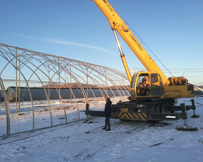 農(nóng)業(yè)大棚產(chǎn)品圖片1