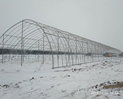 農(nóng)業(yè)大棚產(chǎn)品圖片2