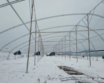 農(nóng)業(yè)大棚產(chǎn)品圖片3