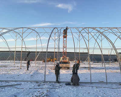 農(nóng)業(yè)大棚產(chǎn)品圖片4