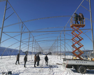 農(nóng)業(yè)大棚產(chǎn)品圖片5