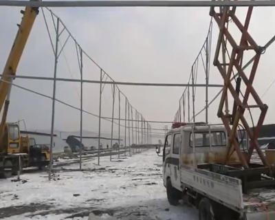 農(nóng)業(yè)大棚產(chǎn)品圖片8