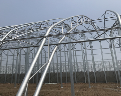 農(nóng)業(yè)大棚產(chǎn)品圖片10