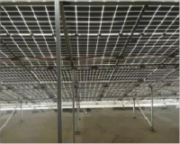 Hebei + Jiangsu Taizhou Field Pictures